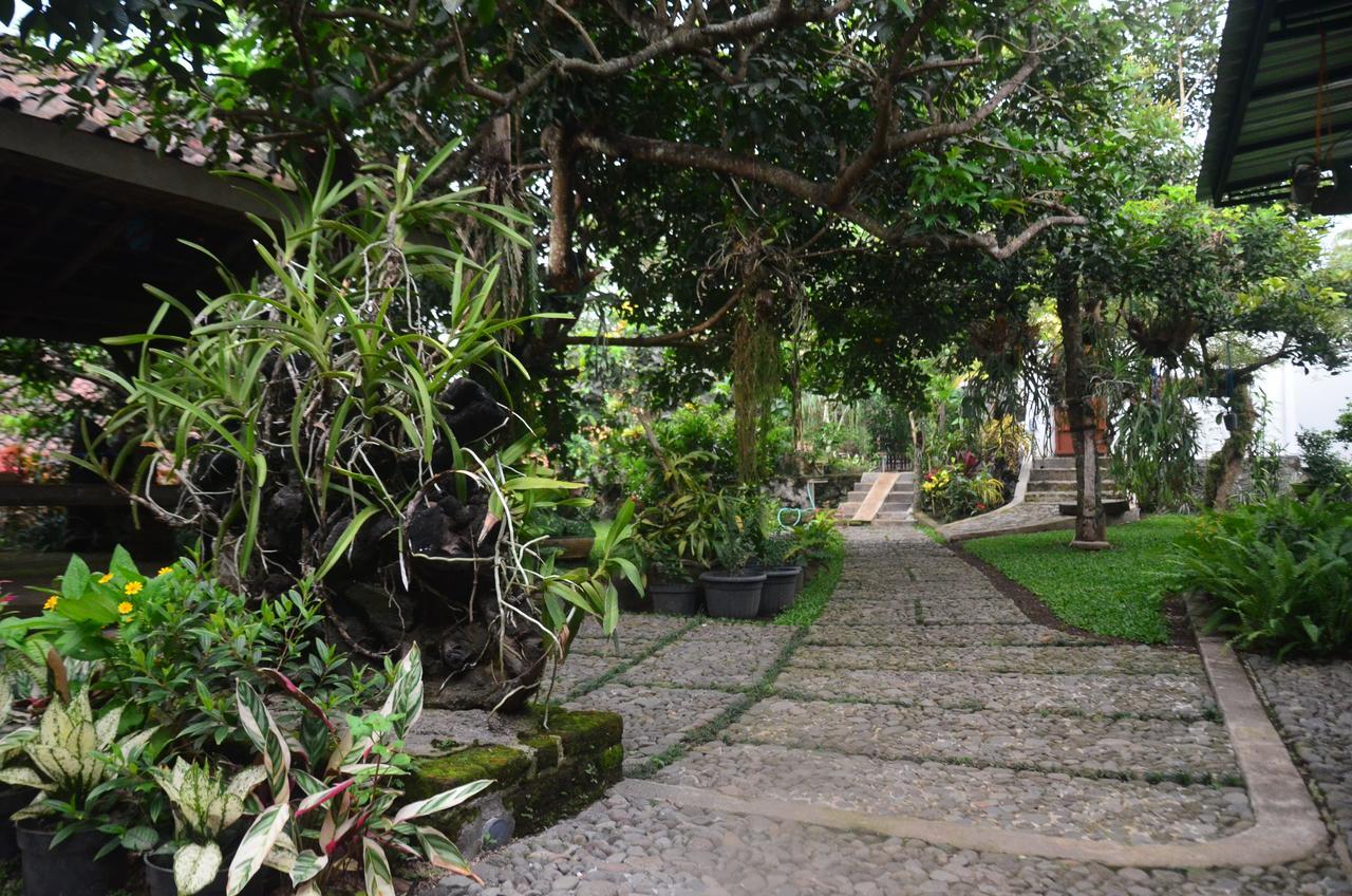 Banyu Homestay Banyuwangi  Exterior photo