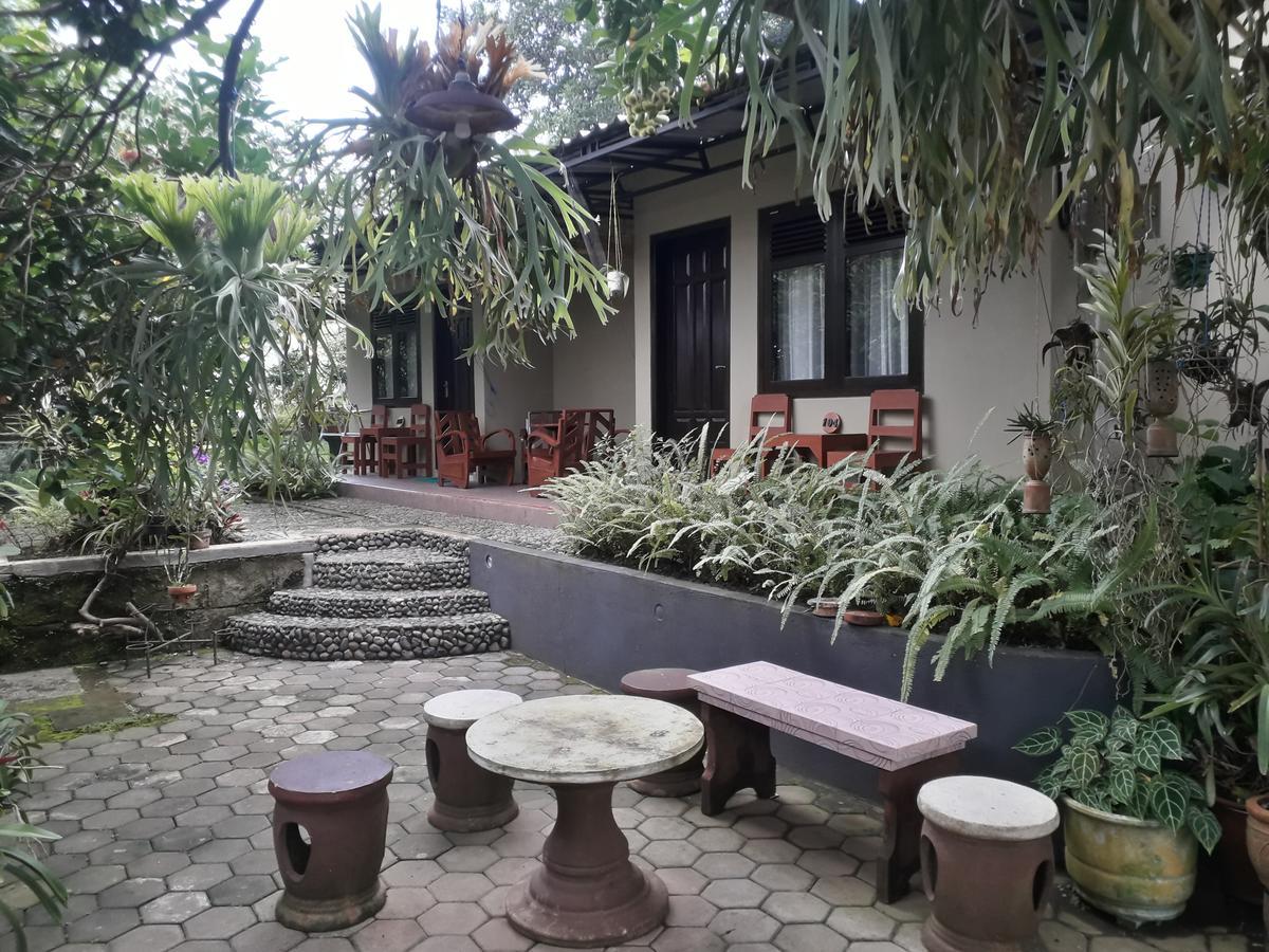 Banyu Homestay Banyuwangi  Exterior photo