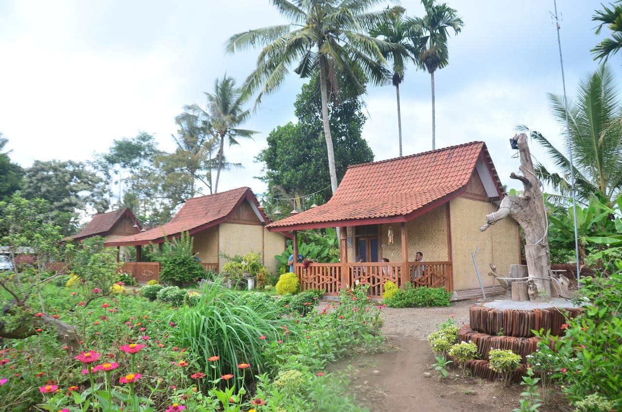Banyu Homestay Banyuwangi  Exterior photo