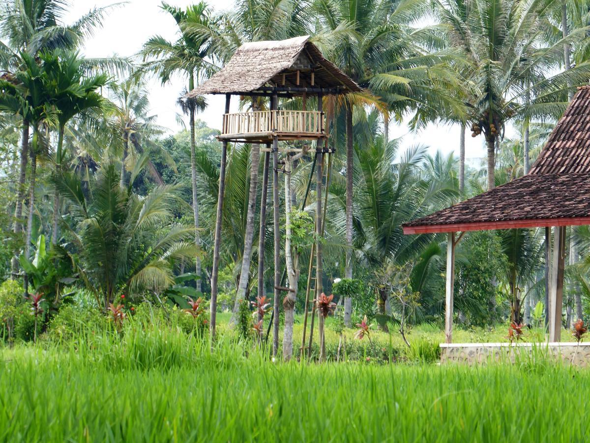Banyu Homestay Banyuwangi  Exterior photo